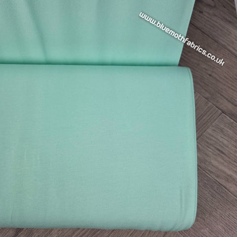 Mint Cotton Jersey Knit Fabric 220g/m2